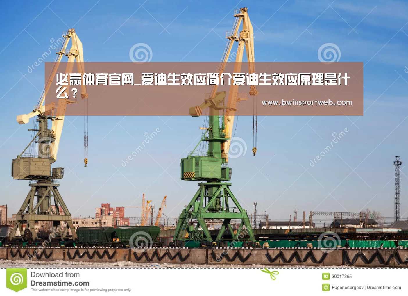 必赢体育官网