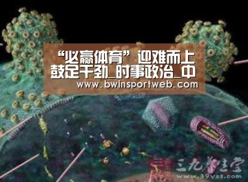 必赢体育官网